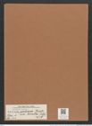 Navicula radiosa var. tenella (Breb.) V.H. (de-Toni-Nr.: Genus 1, Species 104) Zeichnungen Sammlung Grunow Mappe 00081 (Herbarium_W_Grunow_drawings_Folder_00081)